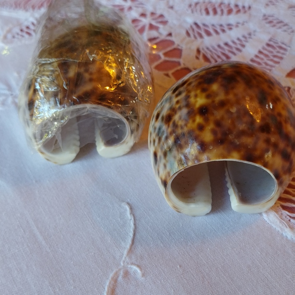 New Real shells 2 napkin holder